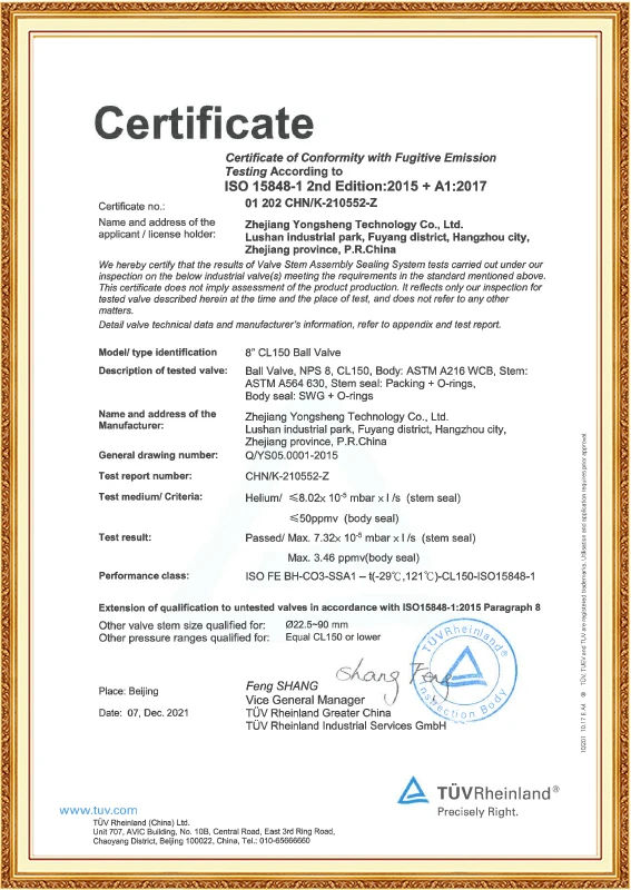 ISO15848 (Injap Bebola)